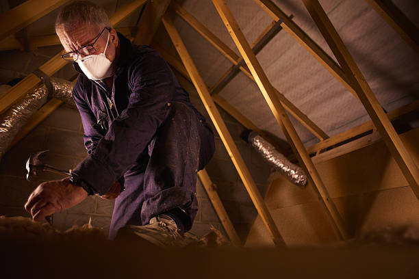 Best Commercial Insulation in Lancaster, KY